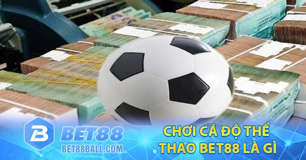 Chơi Cá Độ Thể Thao BET88 Là Gì